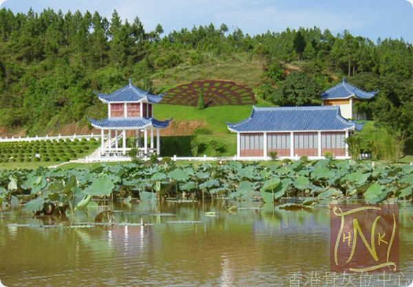Zengcheng5 Zengcheng5